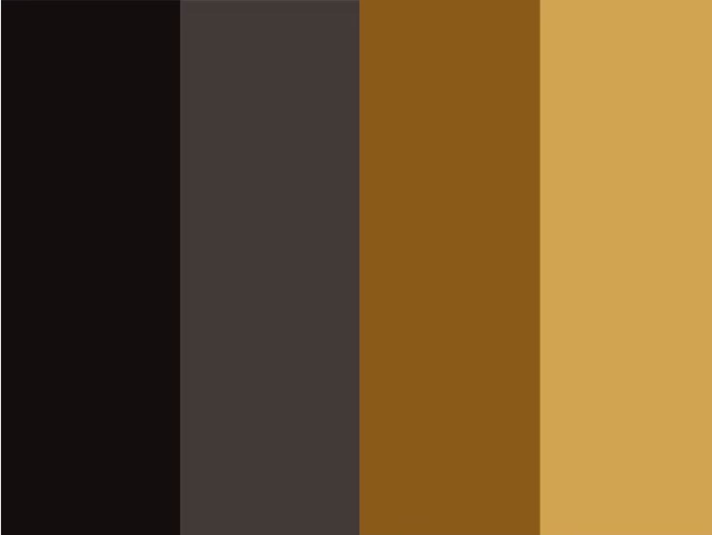 Sixth color palette black - The importance of a brand's color palette and how to choose the right colors - Image